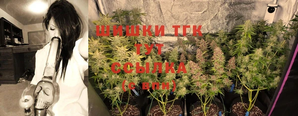 МДПВ Семилуки