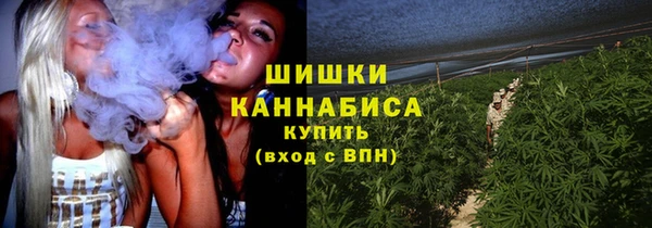 МДПВ Семилуки